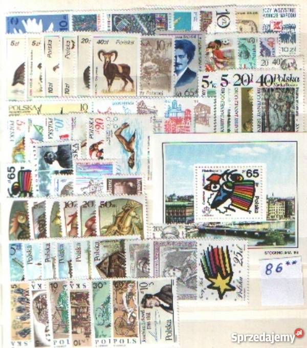 Zn Rocznik 1986 śląskie Gliwice