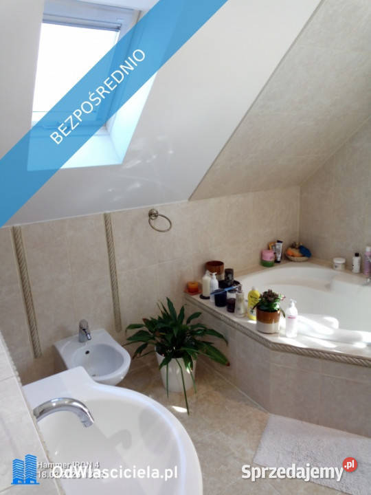 Dom do wynajęcia Wynajem Gaj