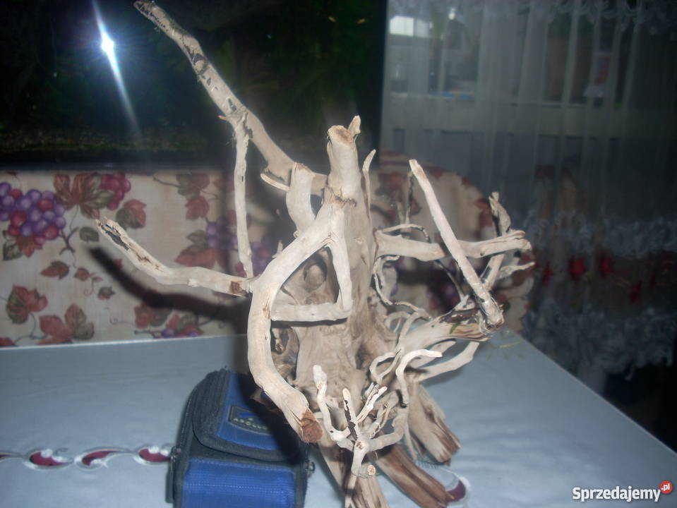 Duży korzeń do akwariumterrarium Kraków