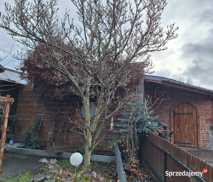 Sprzedam dom jednorodzinny Radom