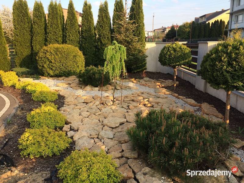 Płaski kamień do ogrodu ogrodowy na skarpy Pozostałe