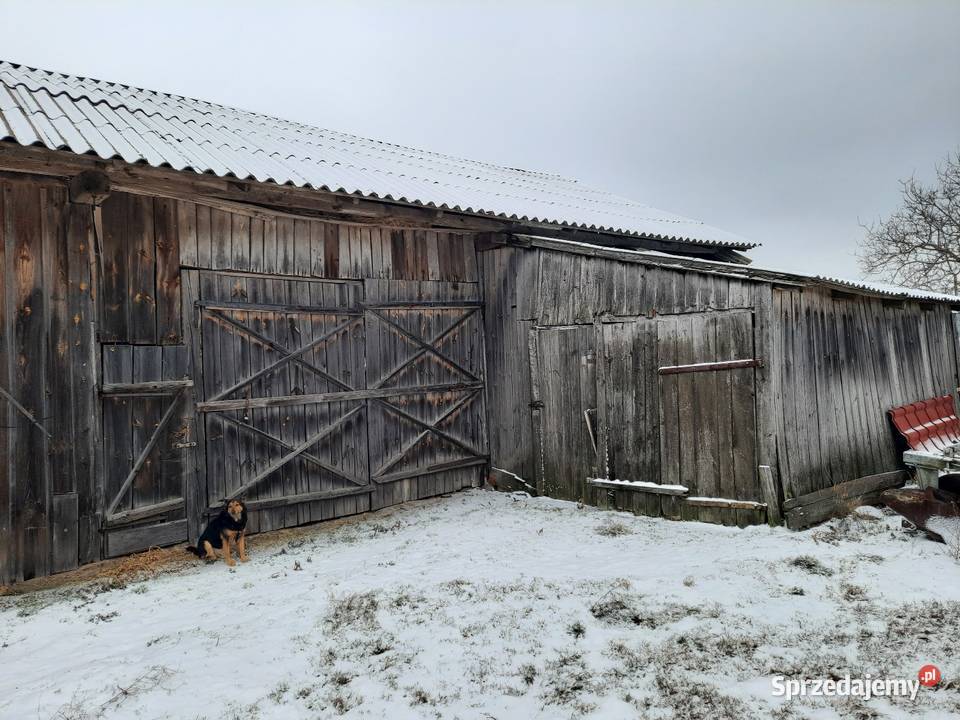 Stara stodoła na deski Grabów nad Pilicą