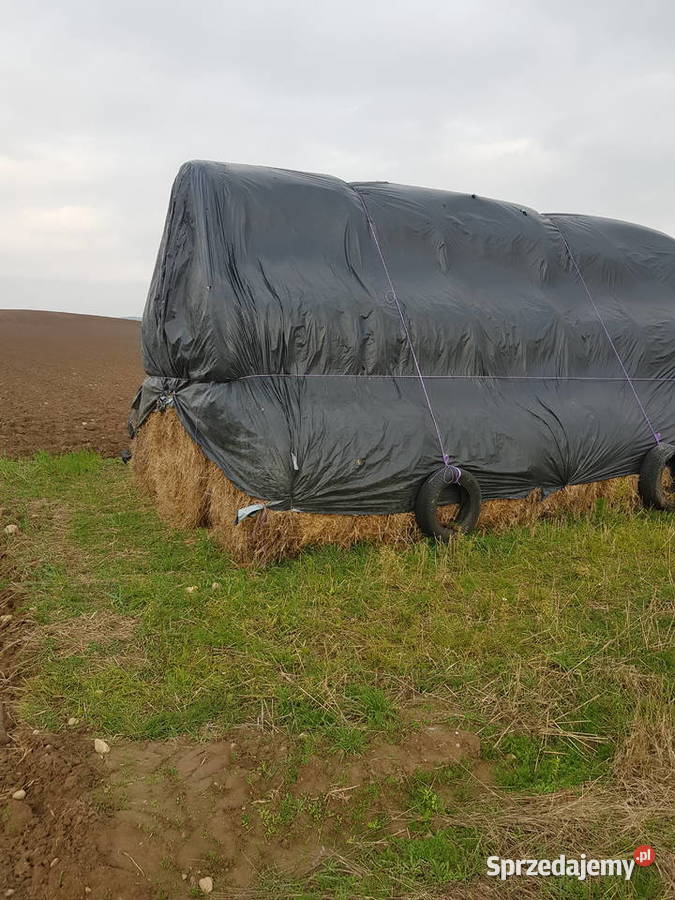 Sprzedam bele słomy 120 i 20 siana Bobrowniki