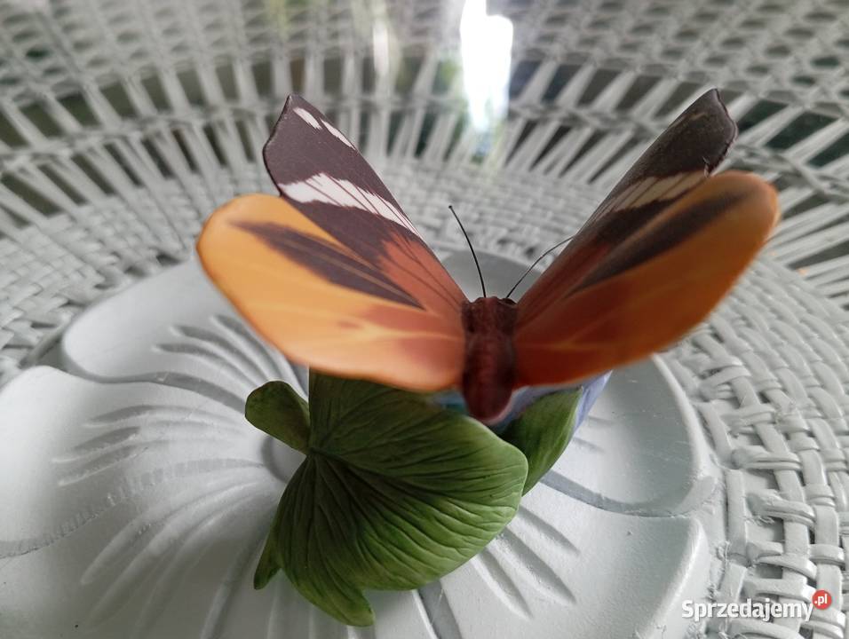 Porcelanowy motyl Franklin lubuskie Zielona Góra sprzedam