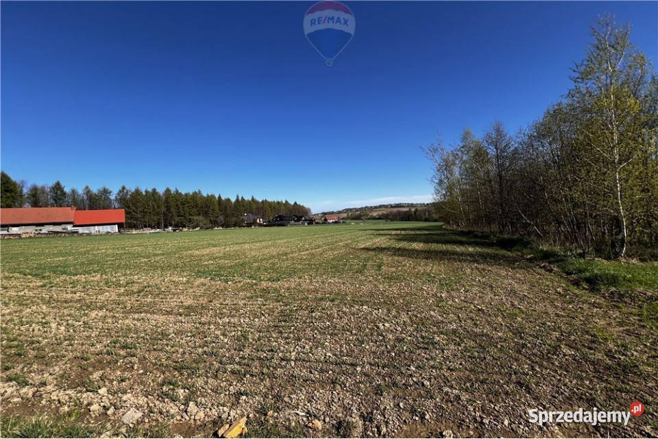 BLACK WEEKS Działka rolna w Pogórzu z Pogórze sprzedam