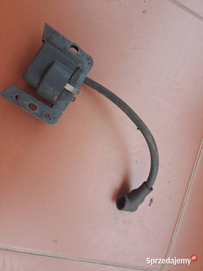 Cewka Tecumseh Małogoszcz