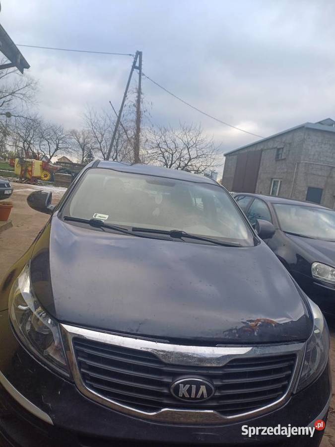 Kia Sportage Kolonia Bodzanowska