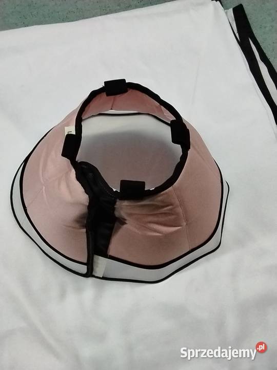 Kołnierz poperacyjnydla psa Golub-Dobrzyń