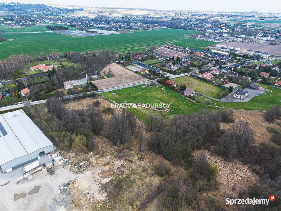 Działka Brzezie 11900m2 11900m2 małopolskie