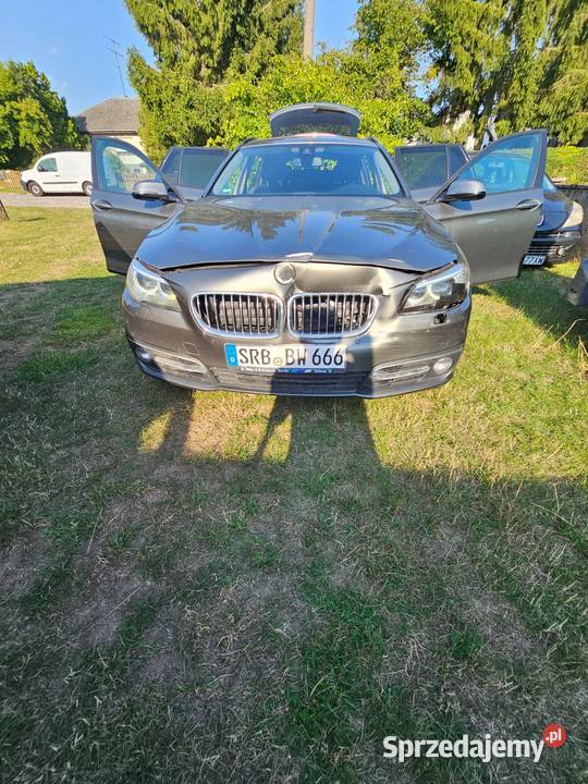 BMW 530d Touring Luxury 258KM Kostrzyn nad Odrą