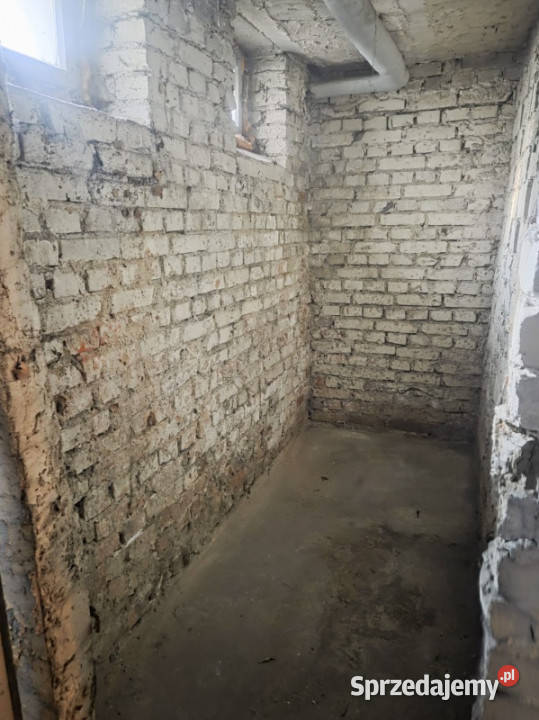 3 pokoje dużo zieleni Sołacz