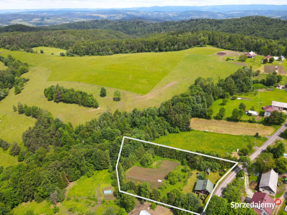 Sprzedam dom wolnostojący Kulaszne 11491m2 Sprzedaż