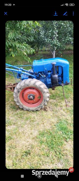 Dzik traktorek Mordy