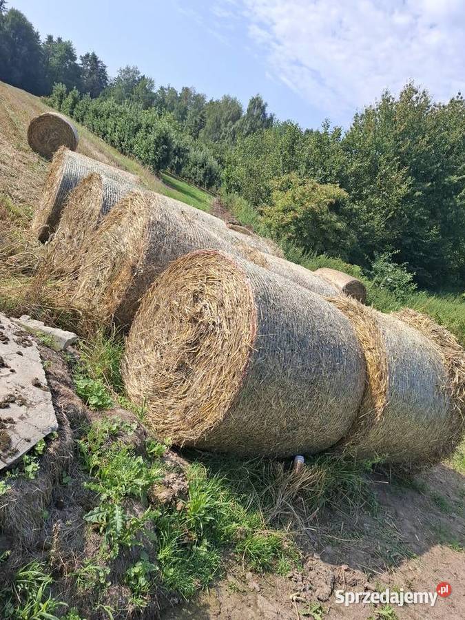 Sprzedam słome pszeniczną Ćwiętalka