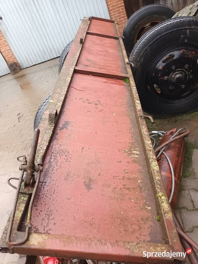 Burty rozrzutnika świętokrzyskie Ciszyca Przewozowa