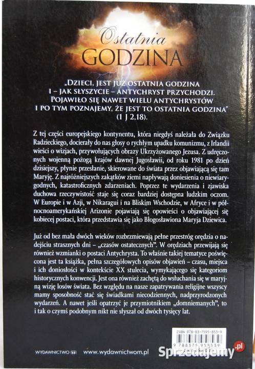 Michael H Brown Ostatnia godzina nowa