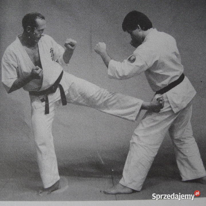 COLLINS Absolute Karate Kyokushin Knockdown 2 ks mazowieckie Radom sprzedam