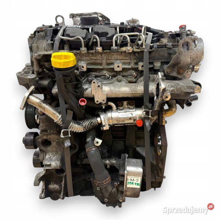 SILNIK M9R780 Opel Vivaro Renault Trafic Nissan osobowe Chełm