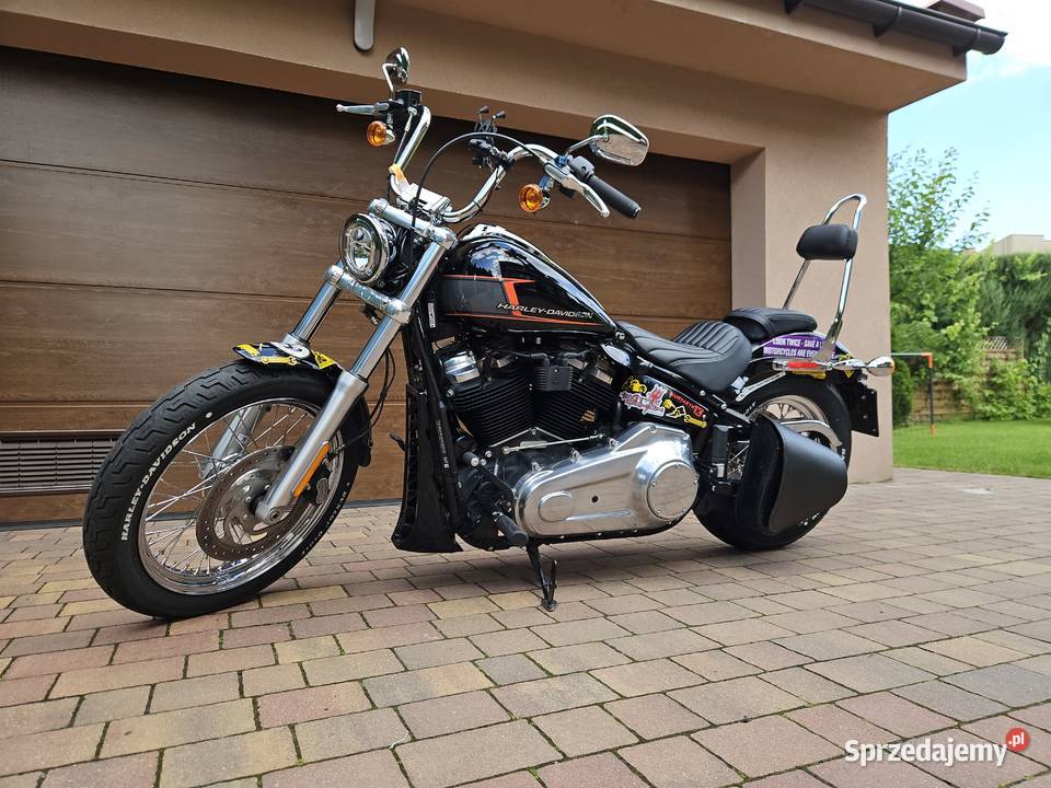Harley Davidson FXST Softail Standard salon