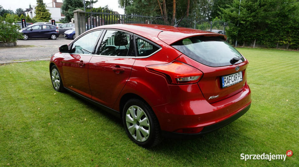 Ford Focus z Niemiec Gwarancja Mk3 20102018 Zielona Góra