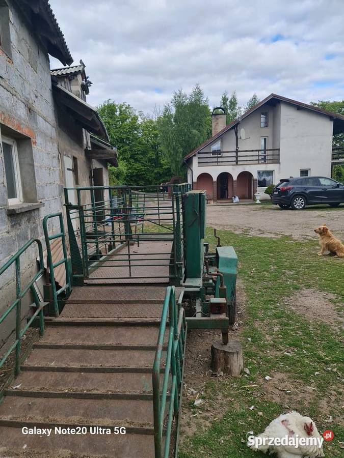 Waga obwozna do zwierząt nieuszkodzony Płonne
