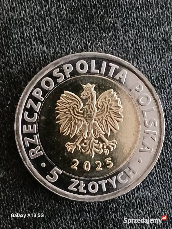 5 złotych Ratusz w Brzegu 2025 r Mennicze Konin sprzedam