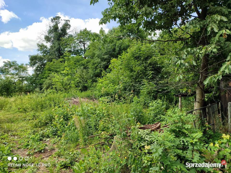 Działka gospodarstwo na sprzedaż Aniołka 143m2 Aniołka Pierwsza sprzedam