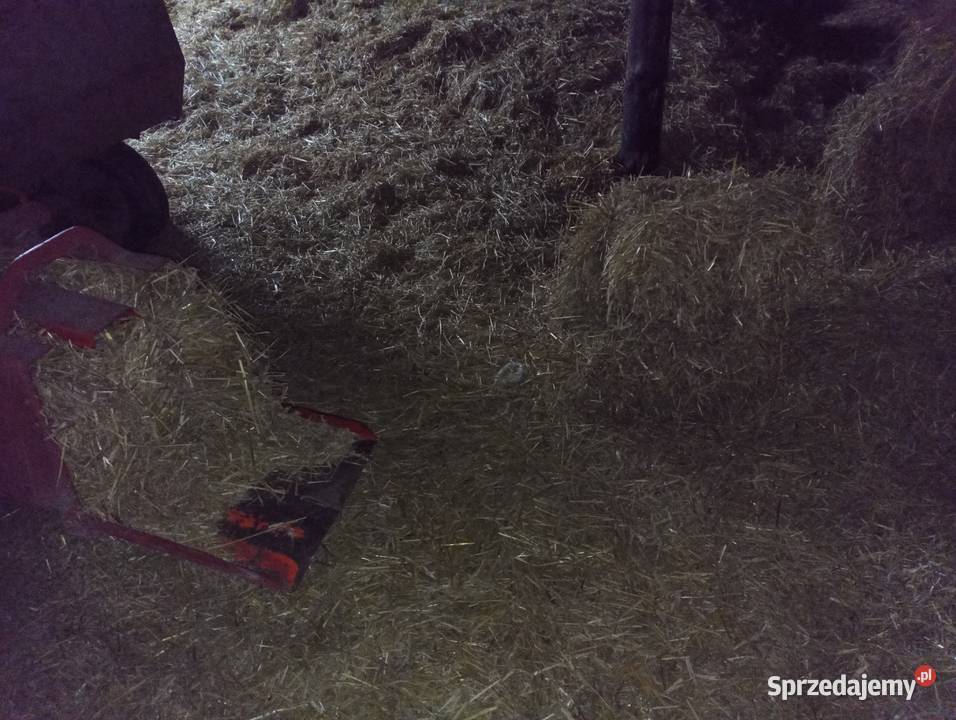 Słoma mała kostka Koronowo sprzedam