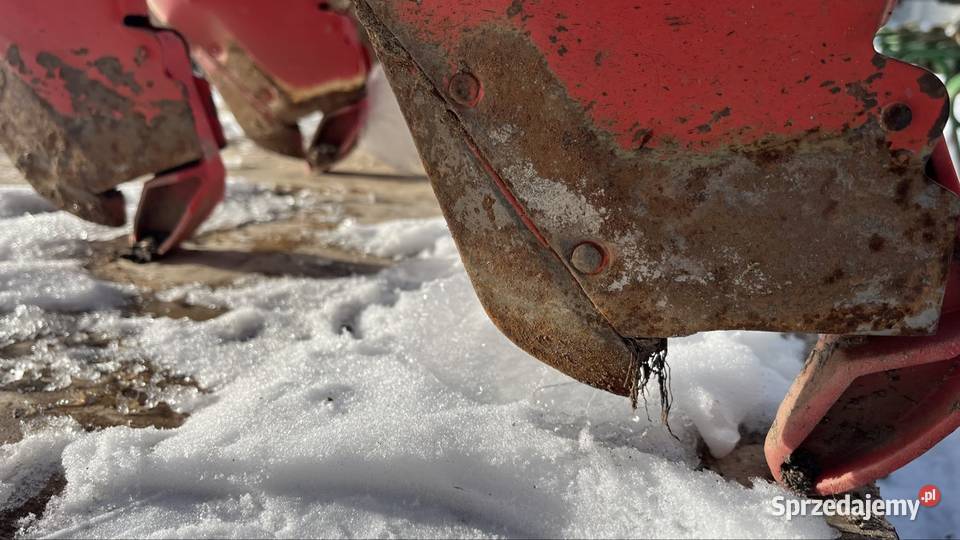 Siewnik Hassia DKL 250 Piotrów-Gułaczów