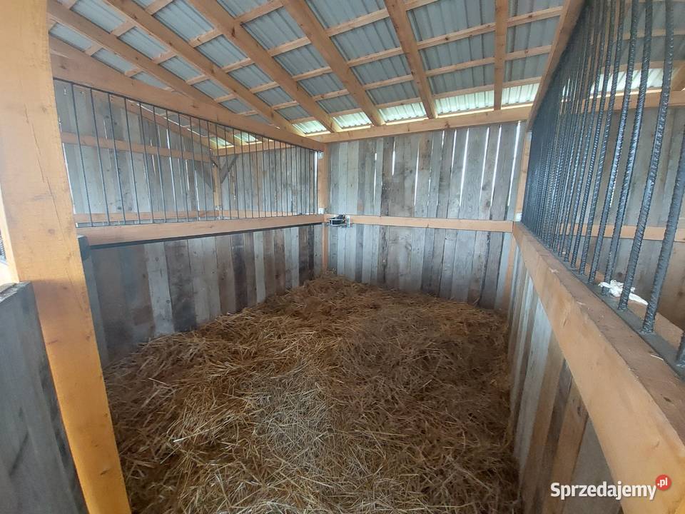 Stajnia do demontażu Dąbrowa Tarnowska