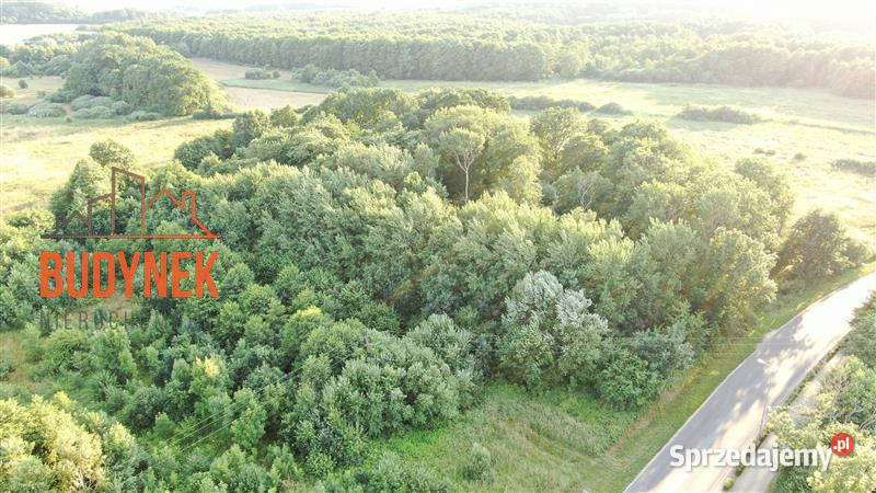 Działka usługowa Jezierzany 16200m2