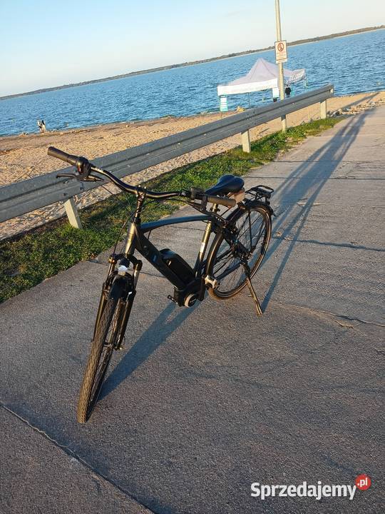Rower męski elektryczny BBF Warta