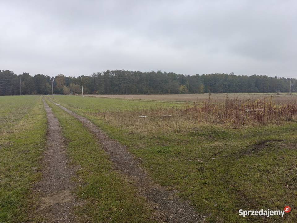 Syndyk sprzeda Kobierne