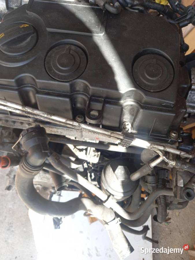Silnik 20 TDi 140 BMM 2008 r Andrespol sprzedam
