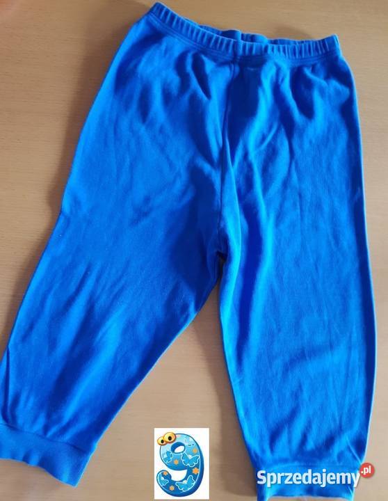 spodenki szorty bermudy leginsy spodnie rybaczki Kielce