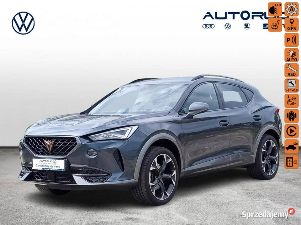 Cupra Formentor 15TSI 150 DSG Ambiente Kamera Rok produkcji 2024 Stalowa Wola