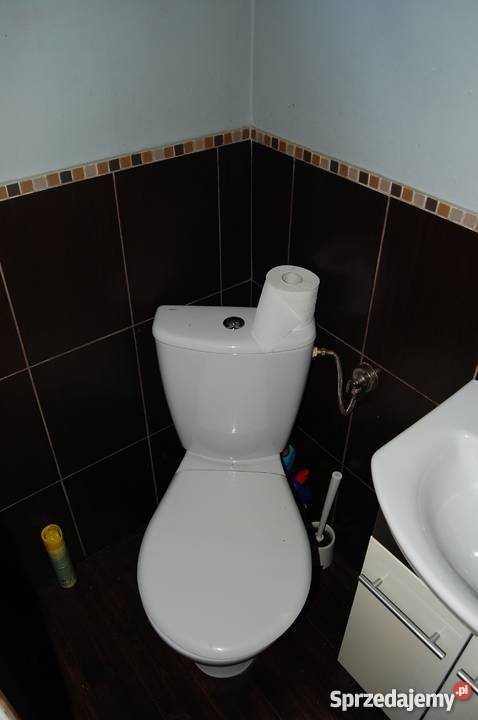 Sprzedam działkę ROD Jasień TANIO Gdańsk sprzedam