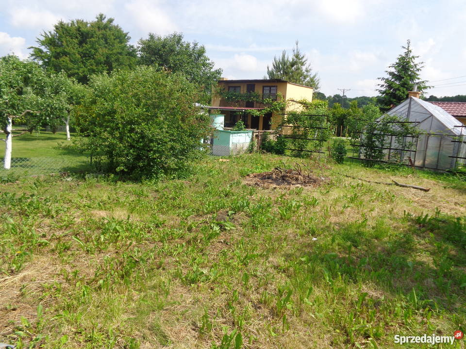 Sprzedam Ogródek Działkowy 400m2 budka studnia z Nysa