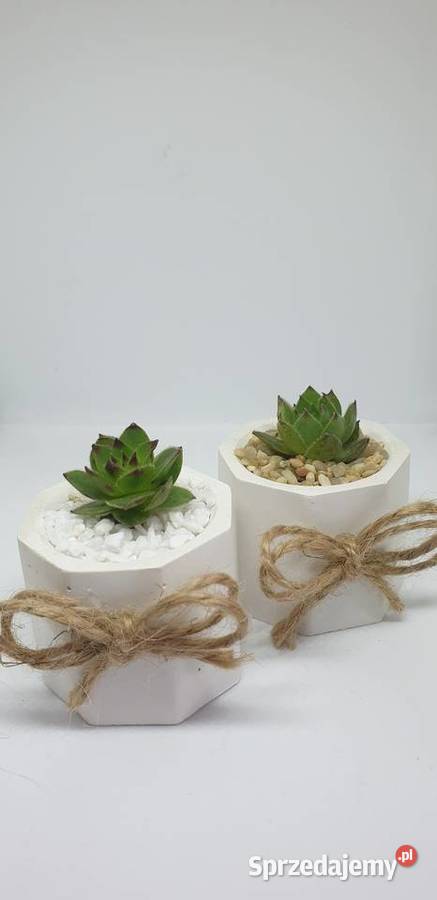 Podziękowania gości łódzkie Łódź