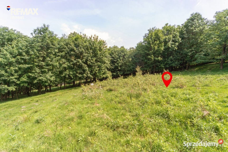 Działka z WZ na 3 domy wolnostojące Straconka 242zł/m2