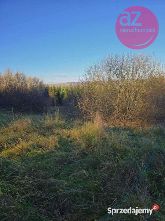 6 działek budowlanych w Stróżówce 24a Stróżówka