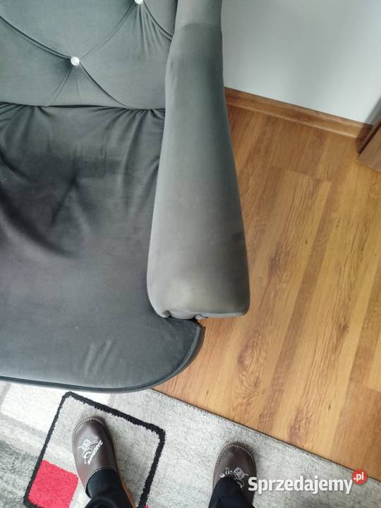 Fotel uszak Piotrków Trybunalski sprzedam