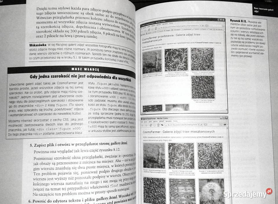 CSS Nieoficjalny podręcznik David Sawyer sprzedam