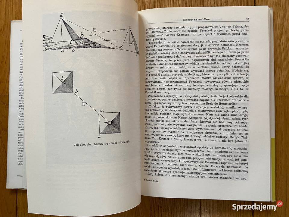 Thorkild Hansen Arabia Felix Katowice sprzedam