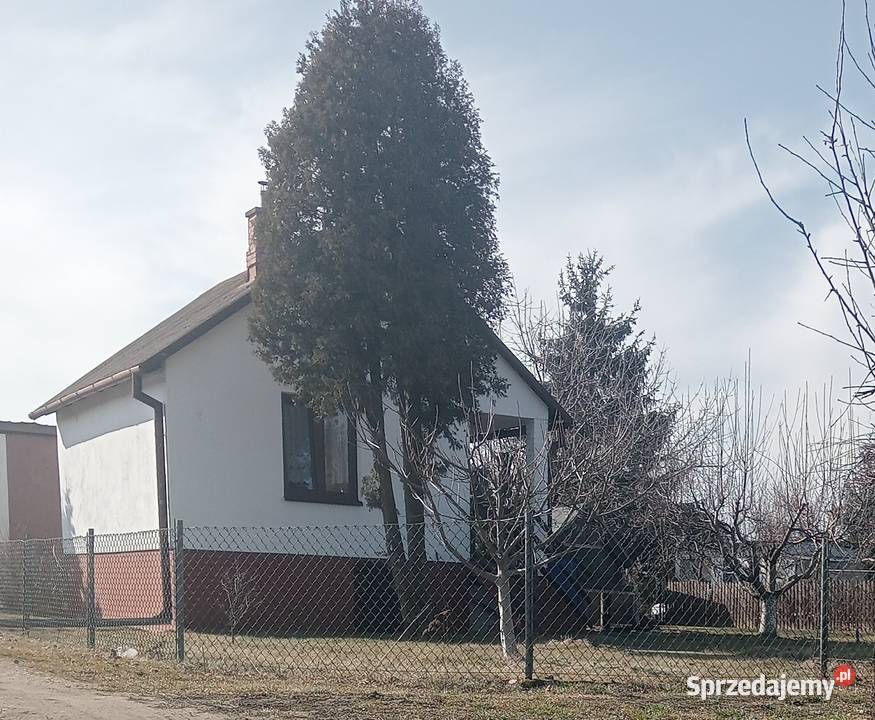 Sprzedam Działkę Rekreacyjną ROD Mszczonów