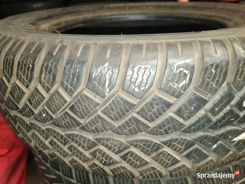 Opona Semperit SportGrip 19565r15 Dobre Miasto
