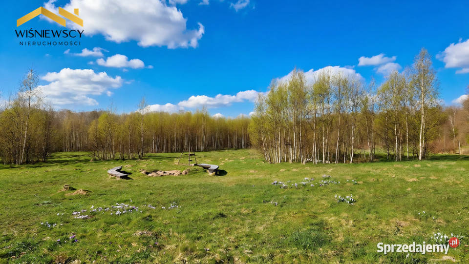 Działka 163 ha rezerwacie Lenki Dawidy
