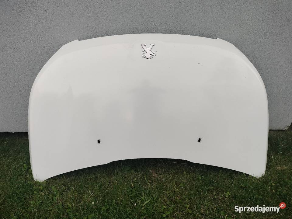 Peugeot 2008 Maska
