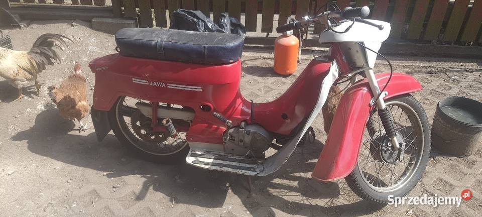 JAWA KACZKA Pozostałe Żywiec