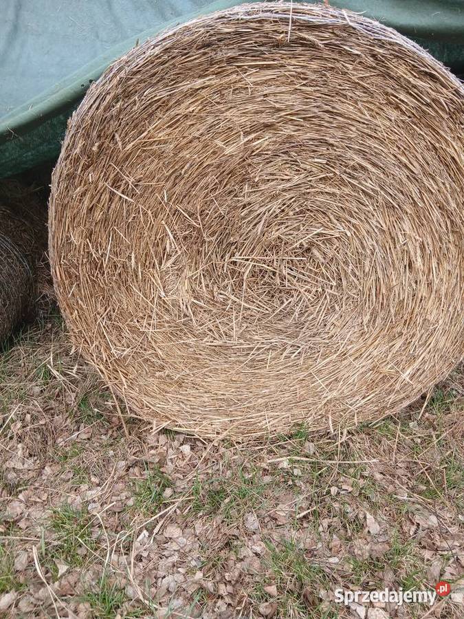 Słomę sprzedam Trawy, słoma opolskie Ozimek